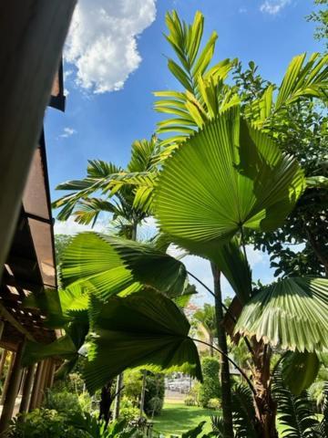 Syama Residence Phra Nakhon Si Ayutthaya Zewnętrze zdjęcie